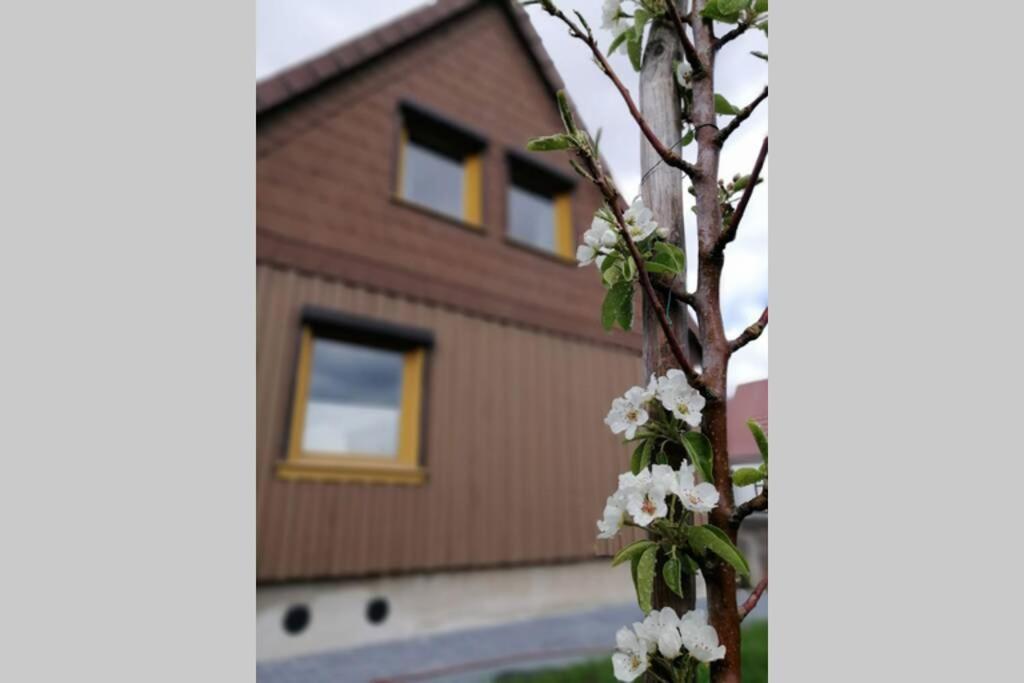 Harzhaus Ida Villa Елбингероде Екстериор снимка