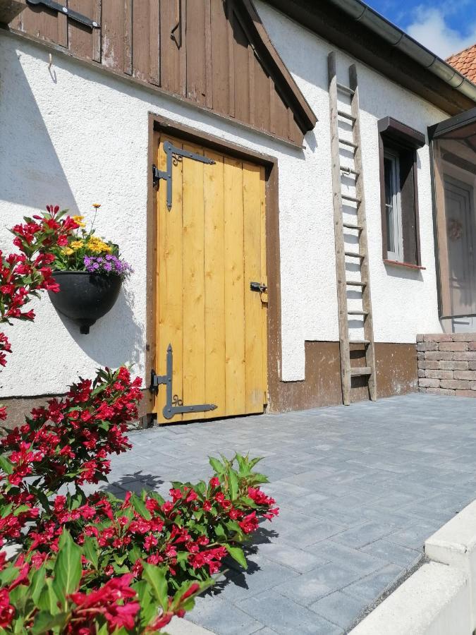 Harzhaus Ida Villa Елбингероде Екстериор снимка