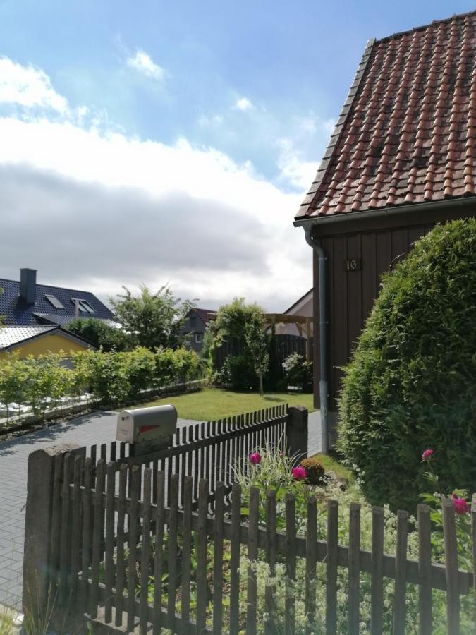 Harzhaus Ida Villa Елбингероде Екстериор снимка